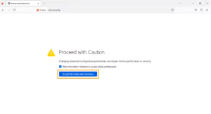 Firefox accept risk and continue
